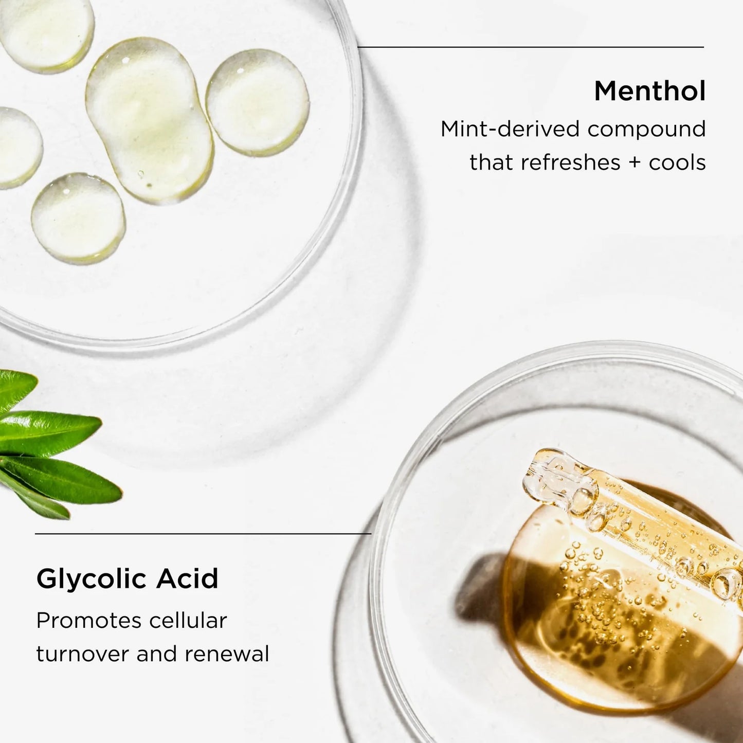 A clean, minimalist flat-lay graphic showing two clear petri dishes containing liquid ingredients on a white background, with text overlays explaining key ingredients: 'Menthol' and 'Glycolic Acid'.