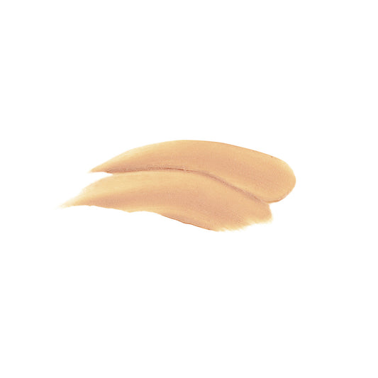 TIZO3 Facial Tinted Mineral Sunscreen SPF 40, 1.75 oz